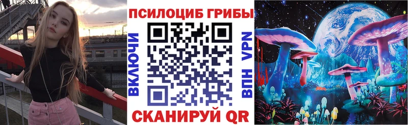 Купить закладки  Суджа  Псилоцибиновые грибы ЛСД 